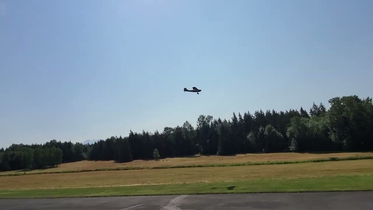 Seagull Models Bird Dog 98 Inch Wingspan