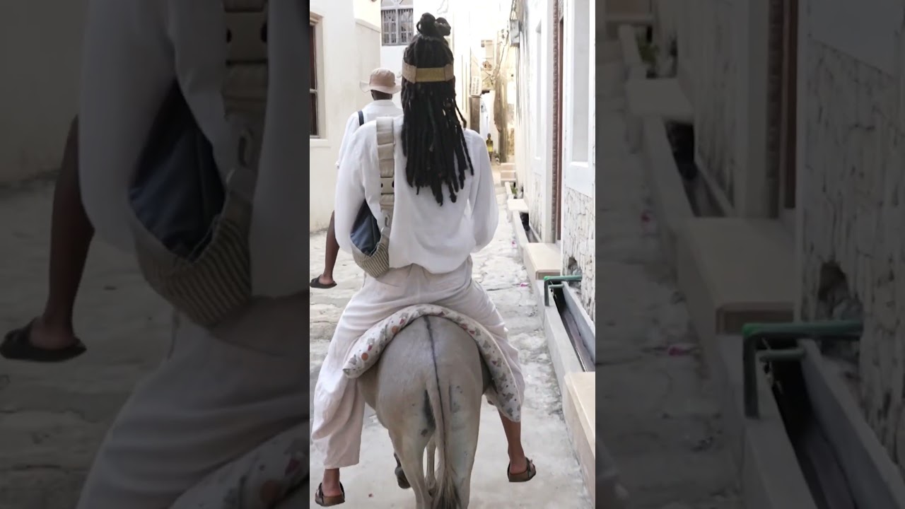 Exploring Lamu by Donkey