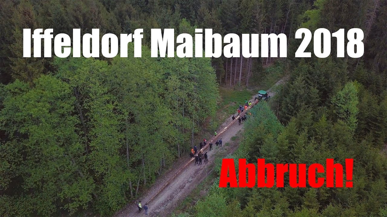 Iffeldorf Maibaum 2018 ABBRUCH -4K-