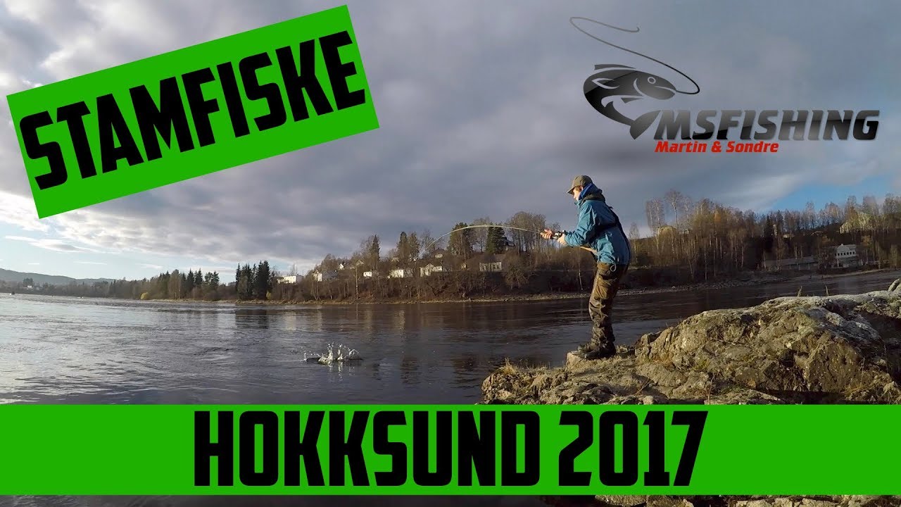 Stamfiske i Drammenselva 2017 - Del 2