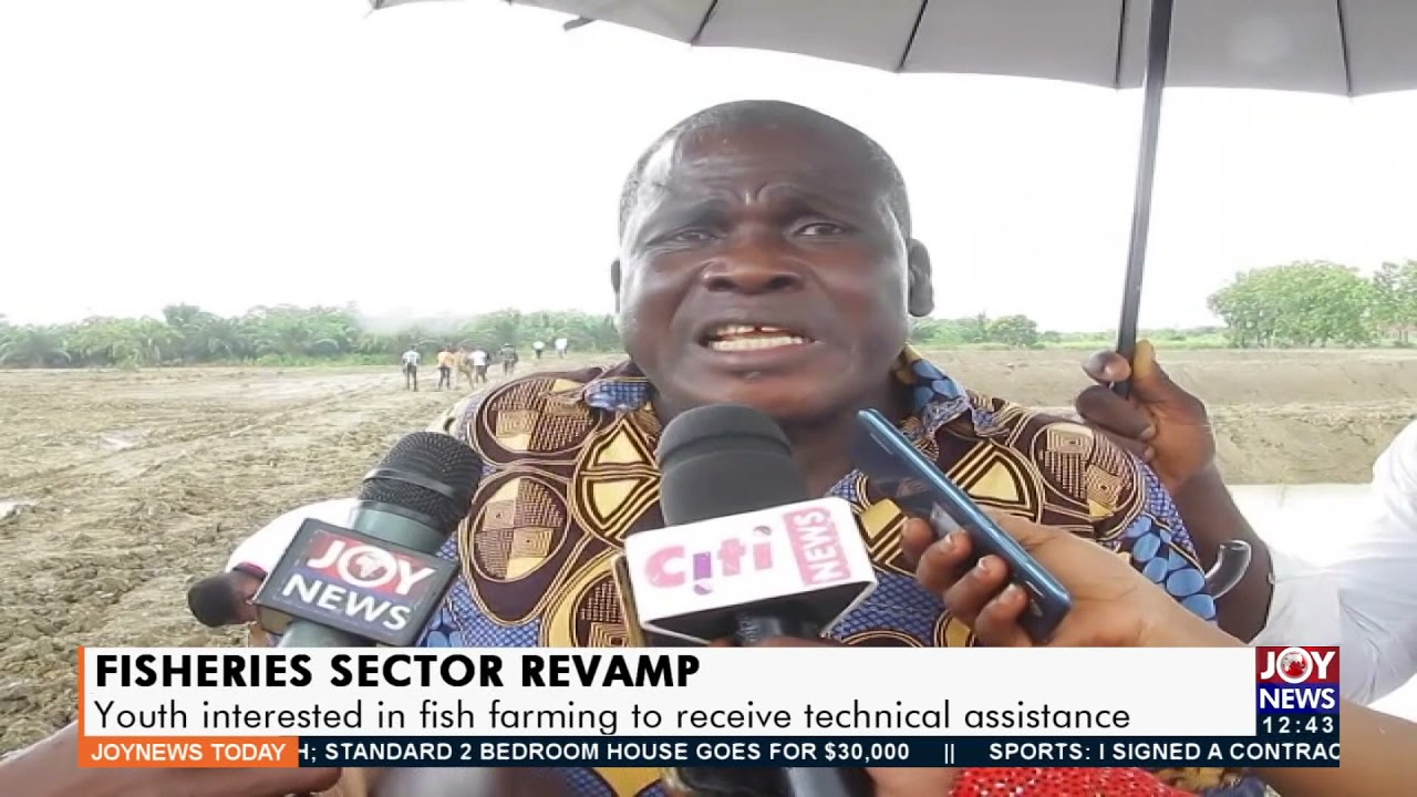 Youth interested in fish farming to receive technical assistance - Business on JoyNews (8-11-21)