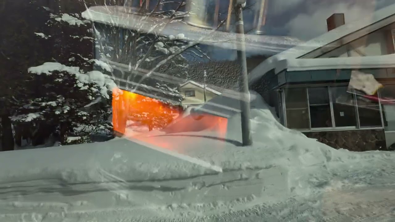 Niseko/ sapporo 