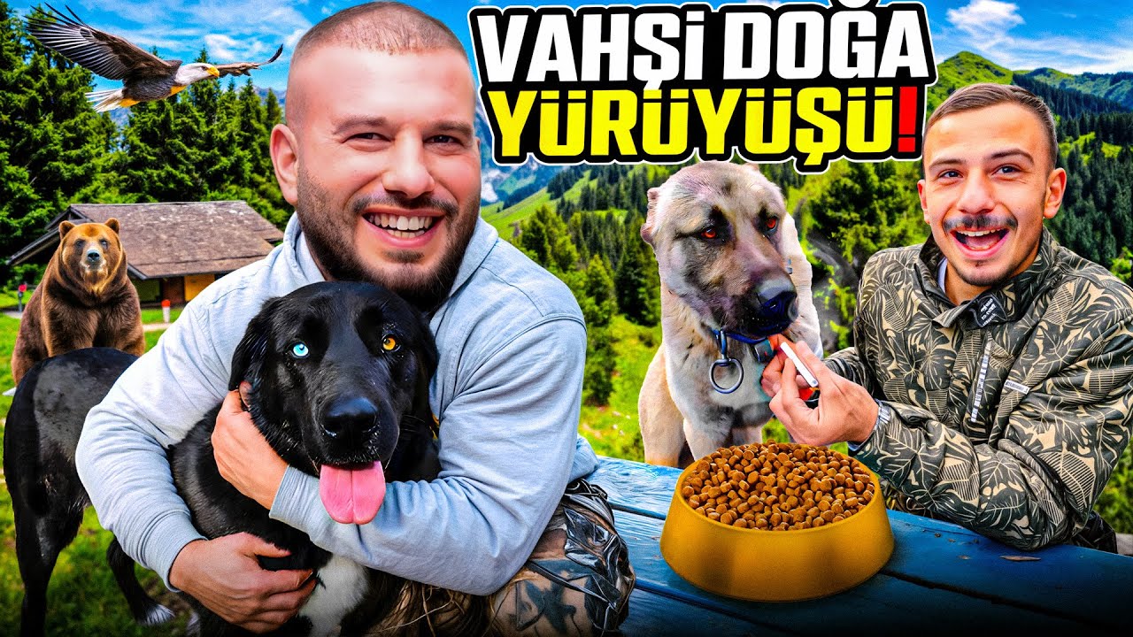 VAHŞİ ORMAN'DA YÜRÜDÜK HER TÜRLÜ HAYVAN VAR! | Aslan Simsek
