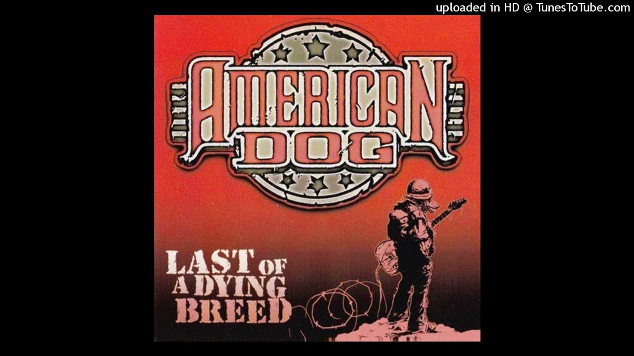 American dog-TV disease