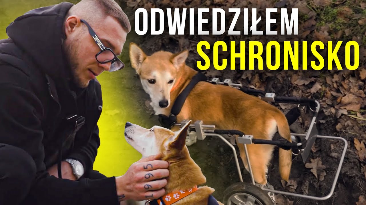 WSPARLIŚMY WYJĄTKOWE SCHRONISKO | Wizyta w Fundacji Judyta