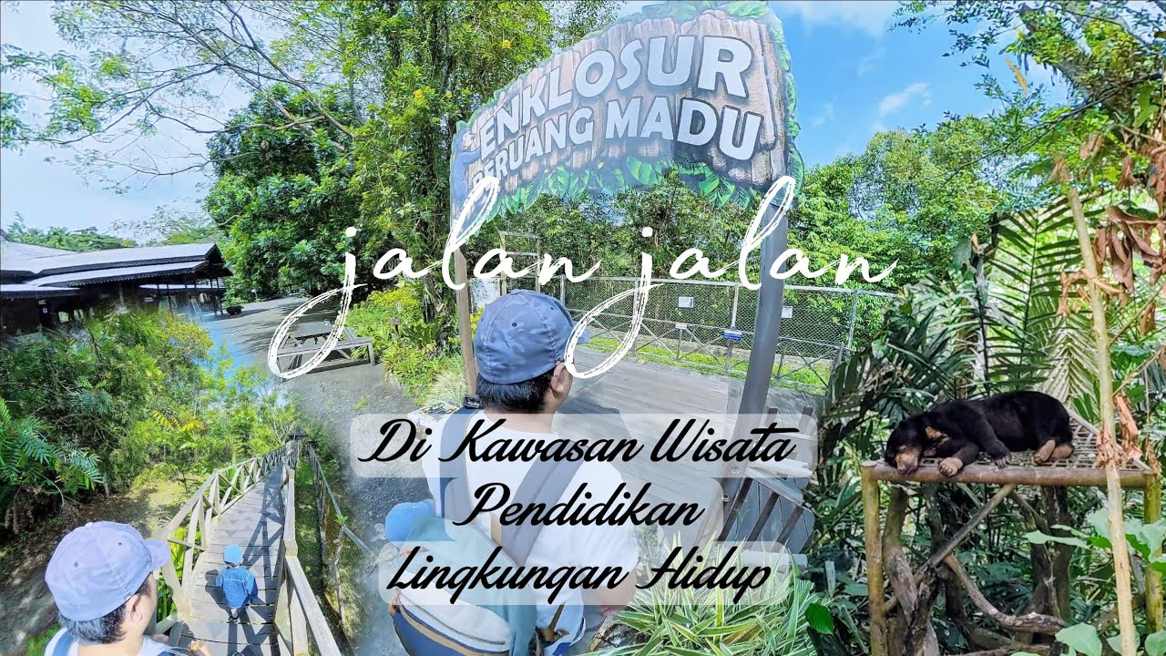 Jalan jalan di Kawasan Wisata Pendidikan Lingkungan Hidup Balikpapan