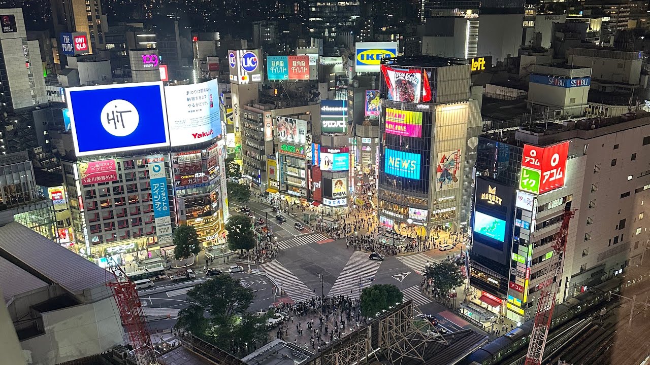 Japonya Shibuya&meiji temple Vlog3