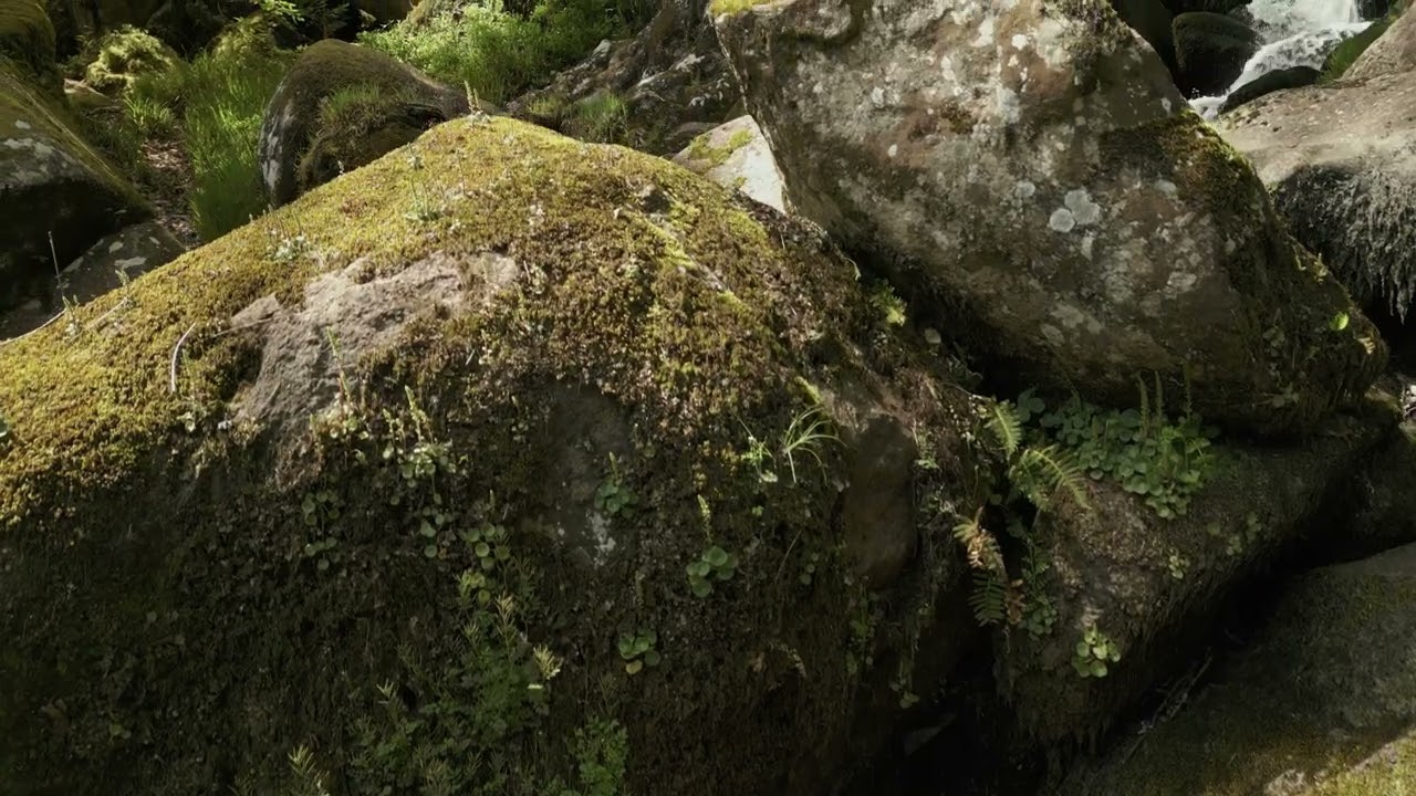 Becky Falls - Dartmoor Drone Footage