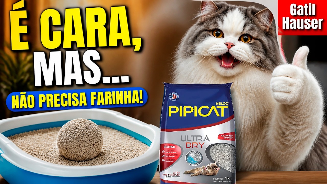 MELHOR AREIA PARA GATOS - TESTEI AREIA PARA GATOS PIPICAT ULTRA DRY - Gatil Hauser