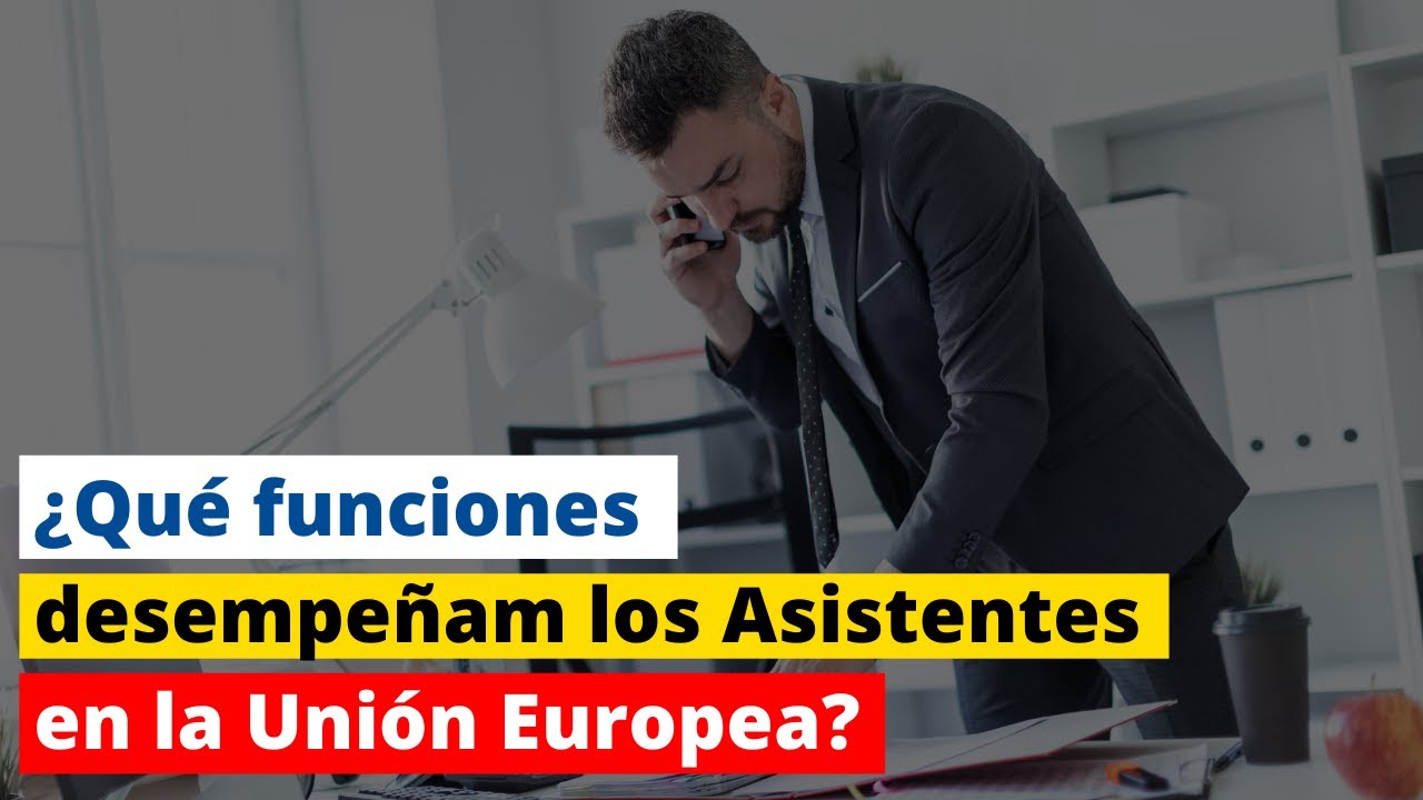 ¿Qué funciones desempeñan los Asistentes en la Unión Europea? 14