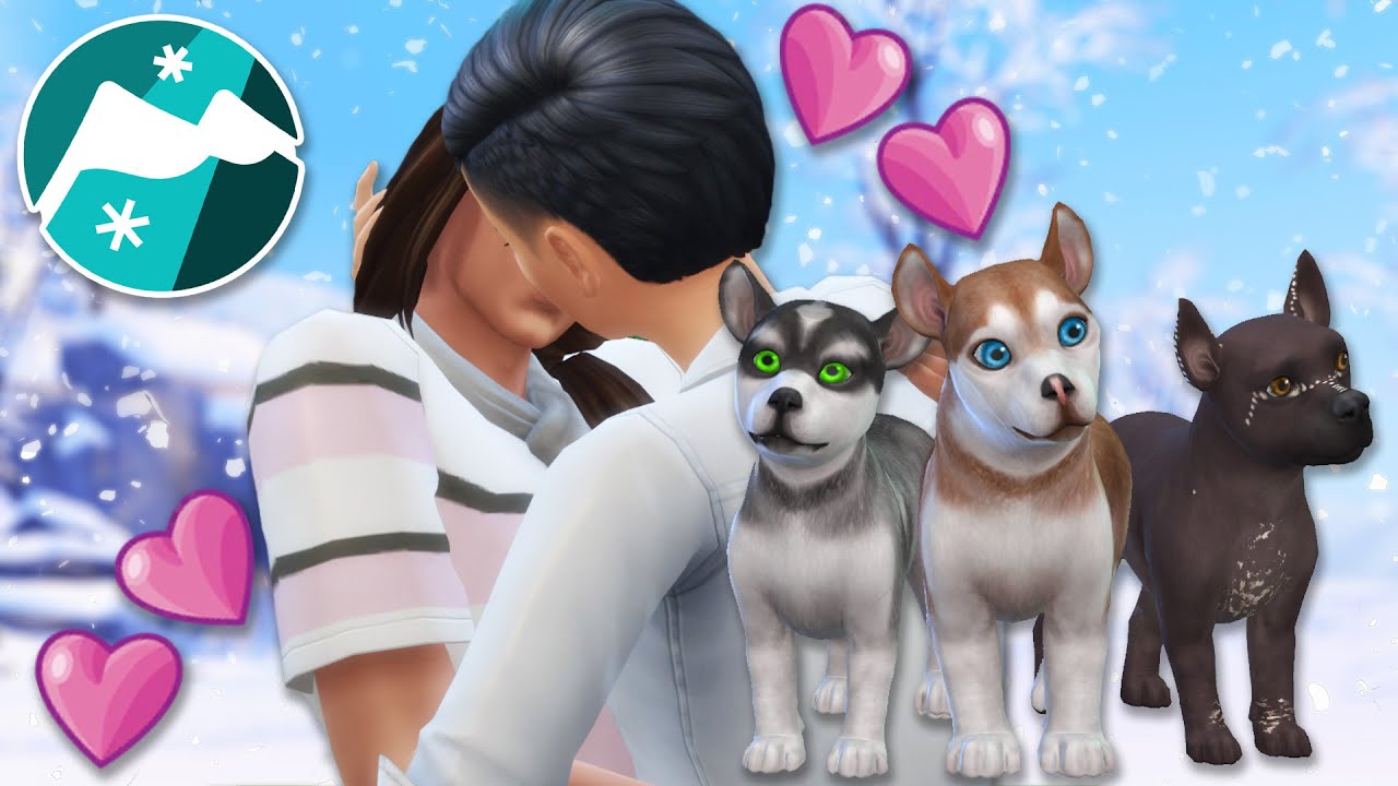 New PUPPIES, Lost Dogs, and Sudden ROMANCE?! 🐕🗻 Sims 4: Snowy Sled Dogs &bull; #40