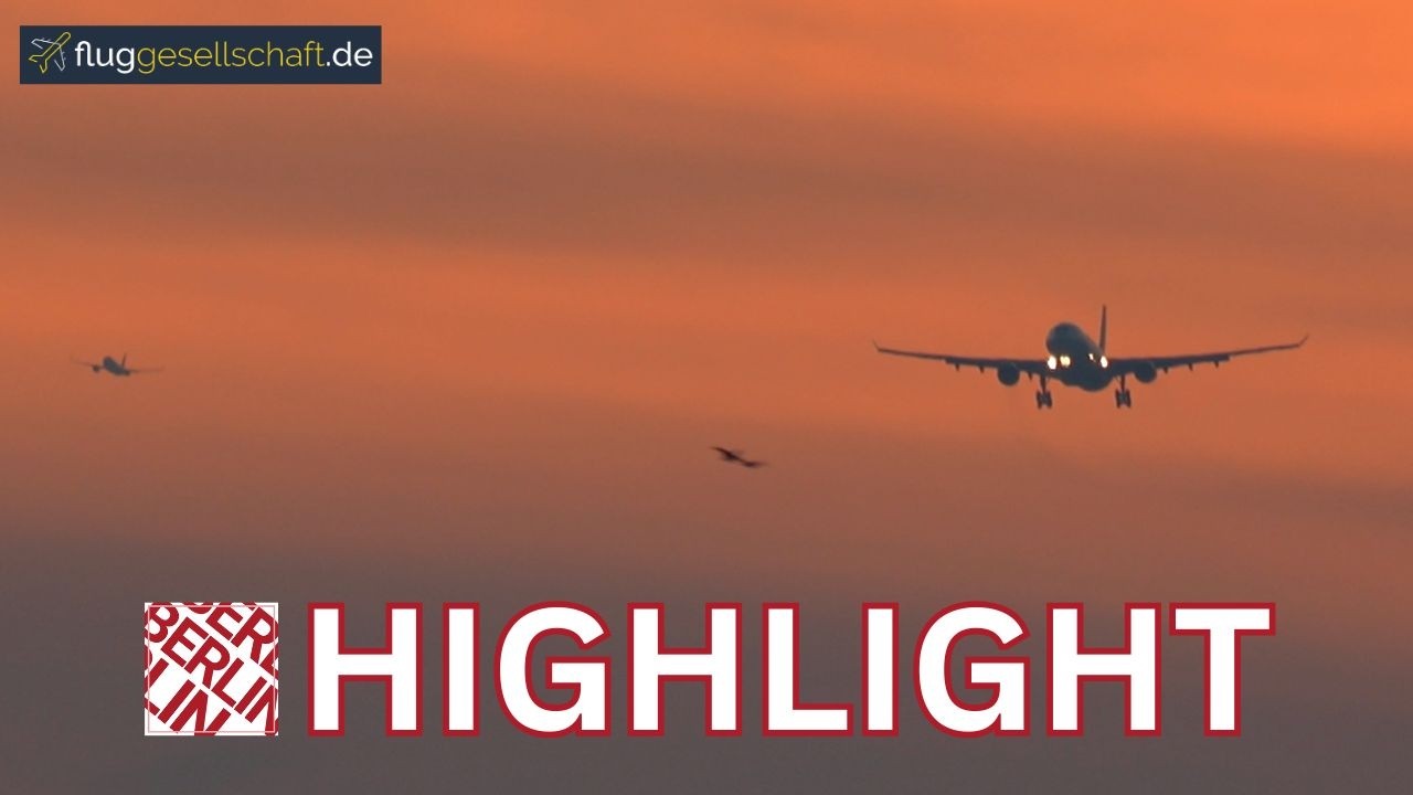 4K Bonus: 🌅 Wundervoller Abendhimmel am BER – Turkish Airlines A330 im goldenen ❄️ Winter-Anflug