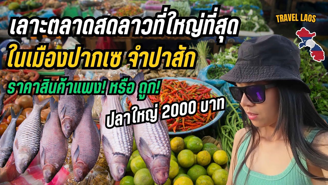 🇱🇦 เลาะตลาดสดลาว ตลาดดาวเรืองเมืองปากเซ แหล่งซื้อ-ขายปลาน้ำโขงขนาดใหญ่