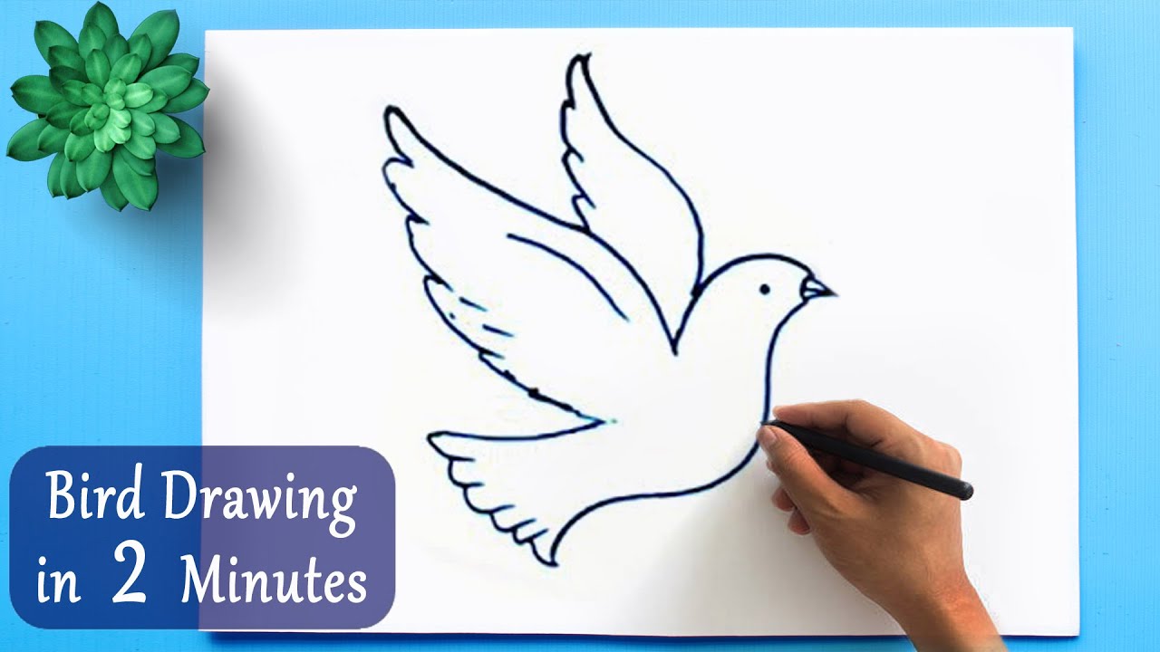 ✅ How To Draw a Bird in 2 Minutes | Easy Tutorial of Bird Drawing