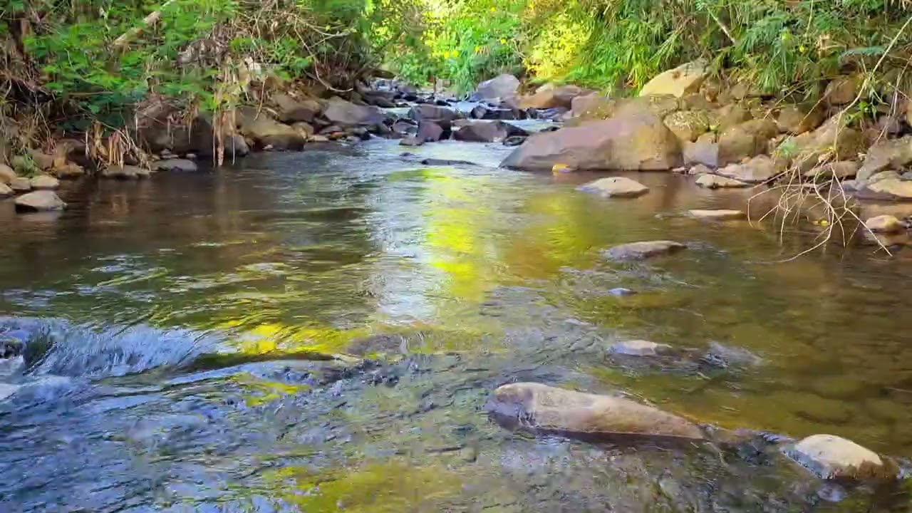 Natural Stream Ambience for Focus &bull; 1 Hour Gentle Water Flow for Deep Productivity 4K