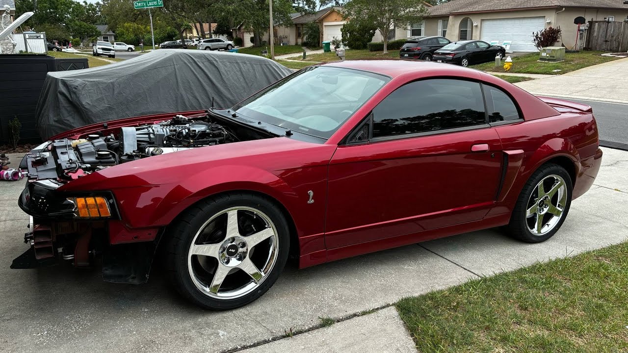 2003 Cobra gets lowering springs, new brakes, and caster camber plates installed.