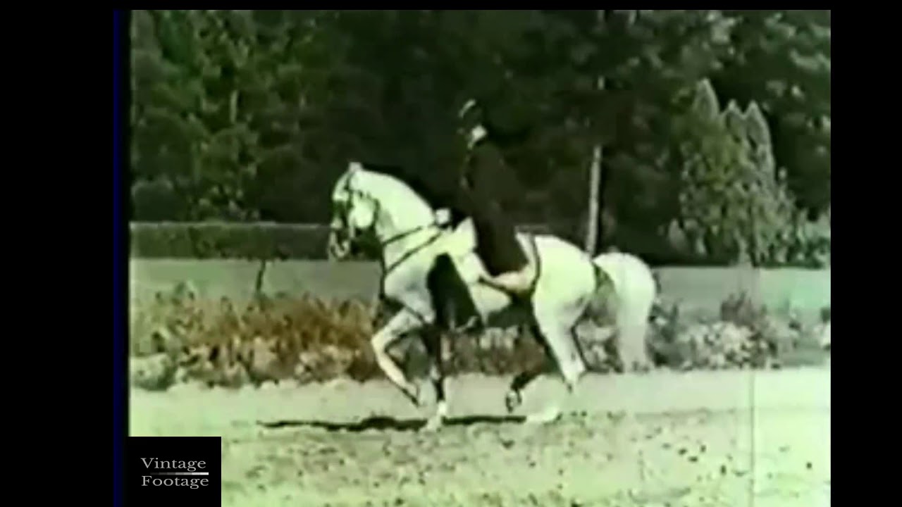 SRS Hofreitschule Wien | 1944 | Spanish Riding School