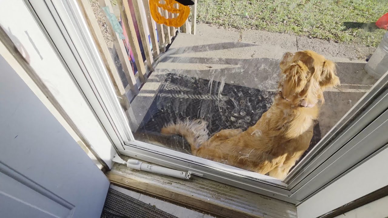 Обзор раздвижной противомоскитной сетки Larson Lakeview Screen Away Splitview Menards 415-2805 146FV