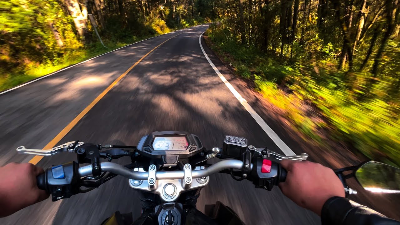 POV Ride | Camino al Cedral, entre curvas| 4K 60FPS 🏍️ 