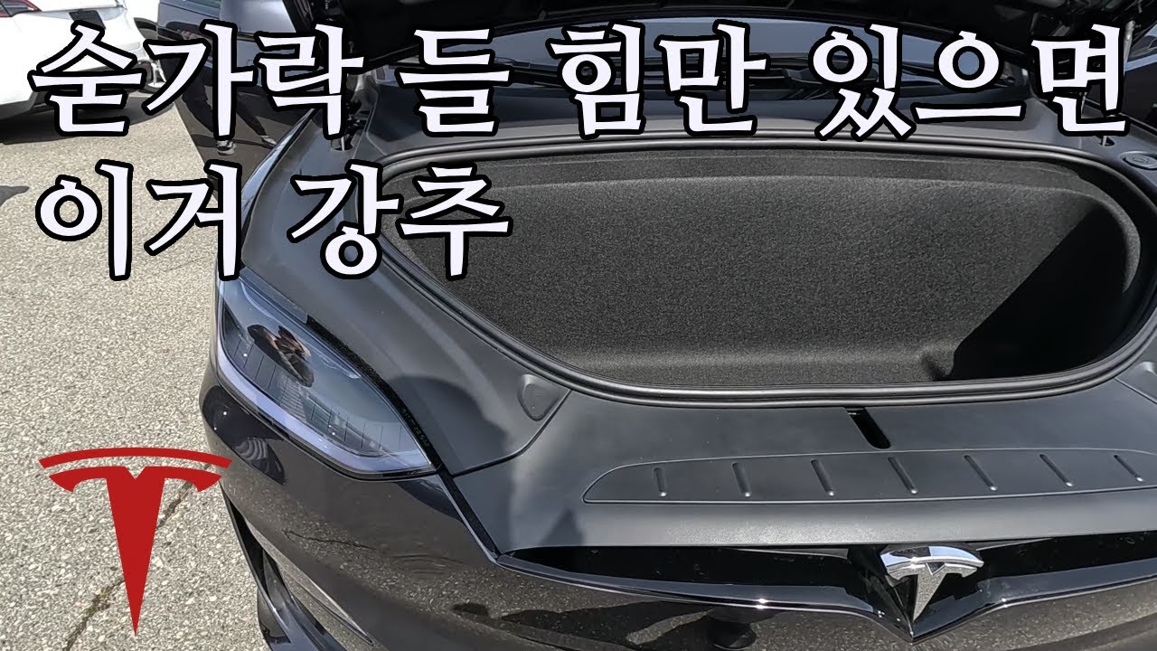 오토 프렁크 보다 5배 저렴함 | 멋짐은 없음 | 테슳라 모든 모델에 적용 가능 | 작업은 집에서 하면 됨 | 쫄리면 샵에 가면 됨