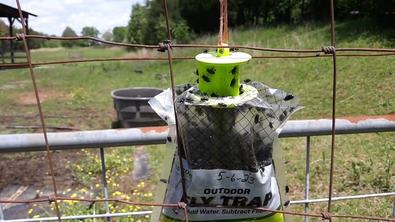 Rescue Brand Fly Trap Review - May 9, 2023