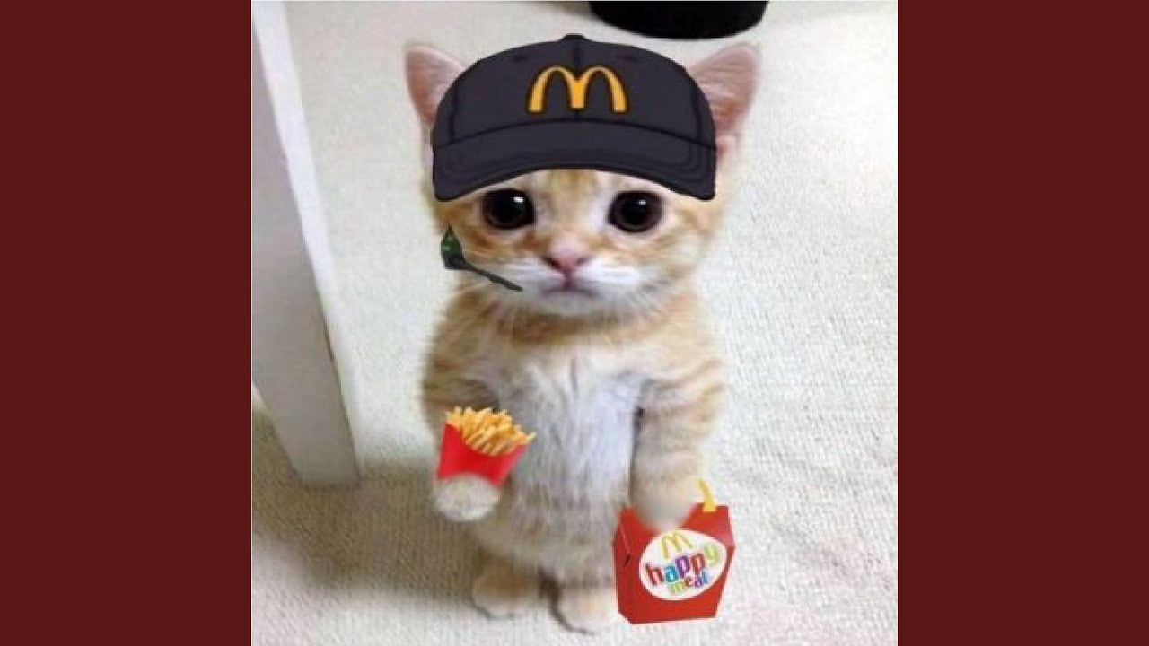 MCDOLLAR