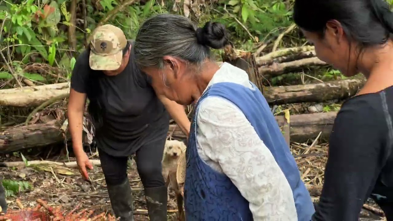 Sembrando Yuka