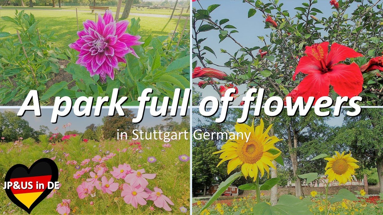 【Stuttgartドイツ】Walking around H&ouml;henpark Killesberg in Stuttgart/My favorite park in Stuttgart Germany