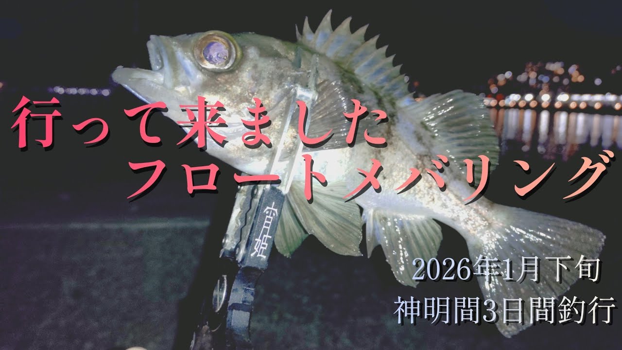 寒波到来！神明間のフロートメバリング🎣