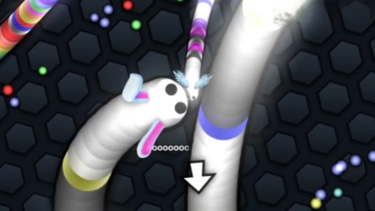 One pro slither vs. 100slithers