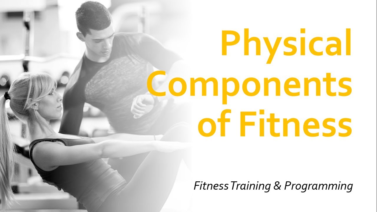 Physical Components of Fitness | Fitness Training & Programming