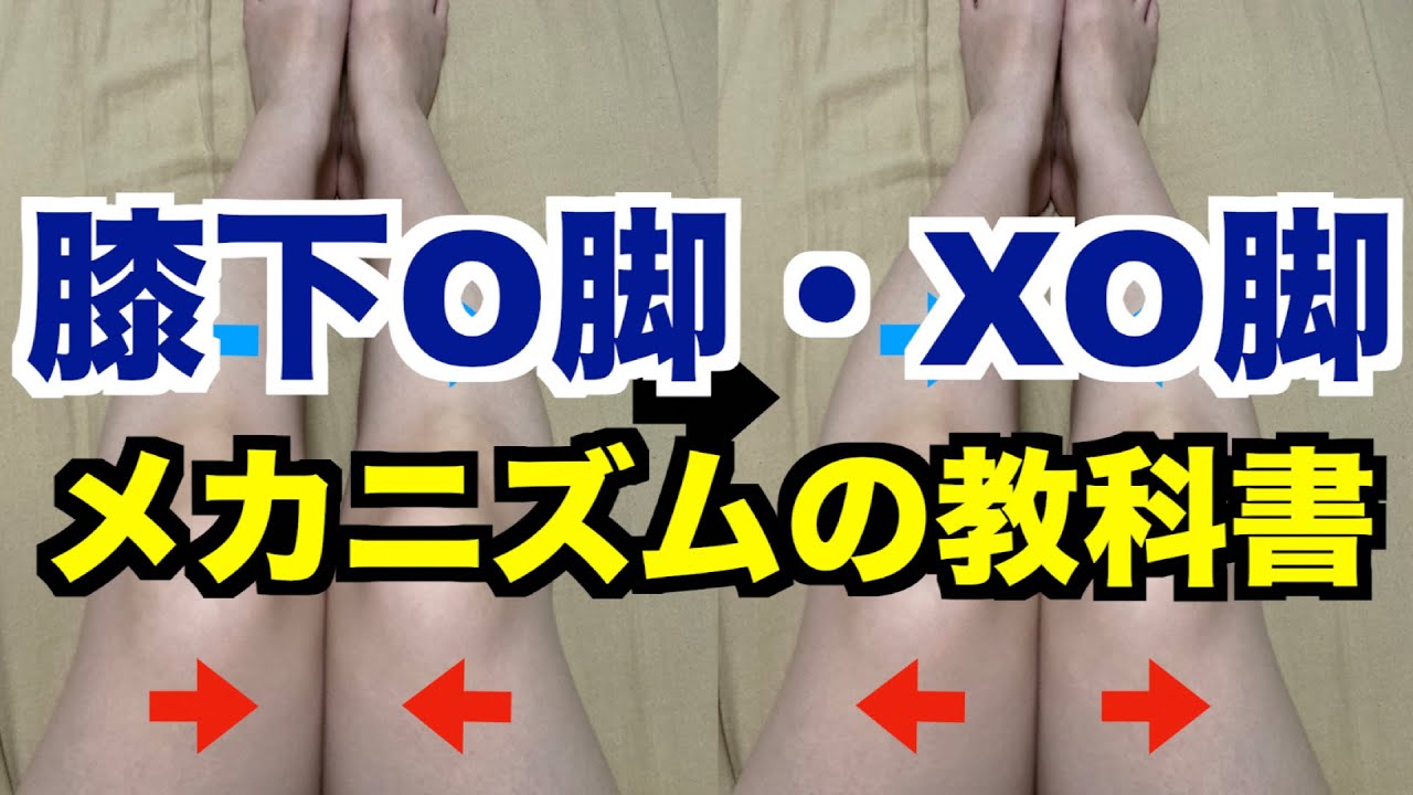 【保存版】「膝下O脚」「XO脚」のメカニズムを徹底解説した教科書！【愛媛県松山市　ピラティス・整体】
