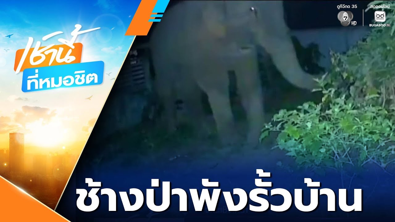 ชาวบ้านผวา ! ช้างป่าบุกพังรั้วบ้านกลางดึก | เช้านี้ที่หมอชิต