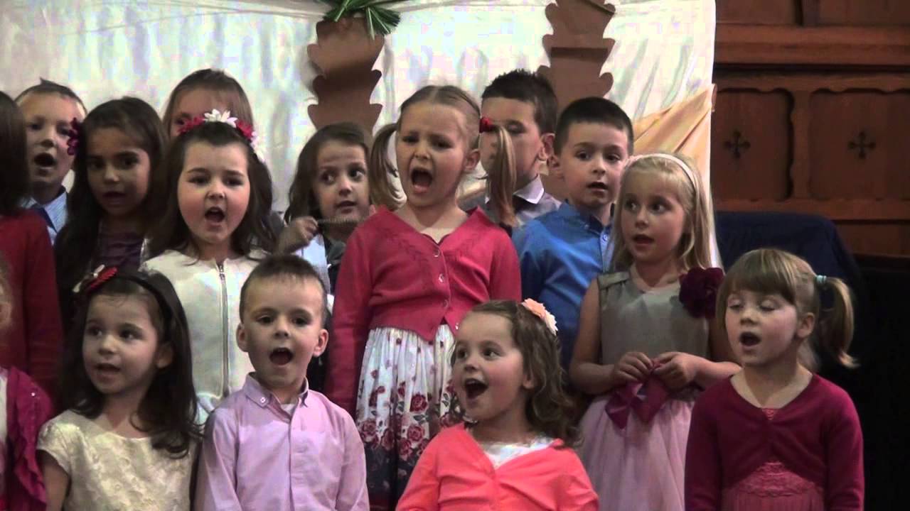 Grupa 4-6 ani