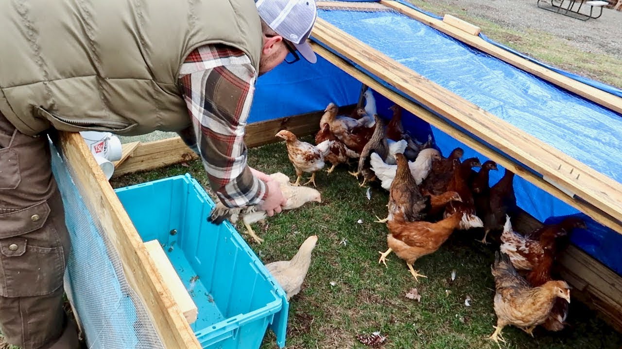 Alot to get done before we go look at a new FARM Animal Today