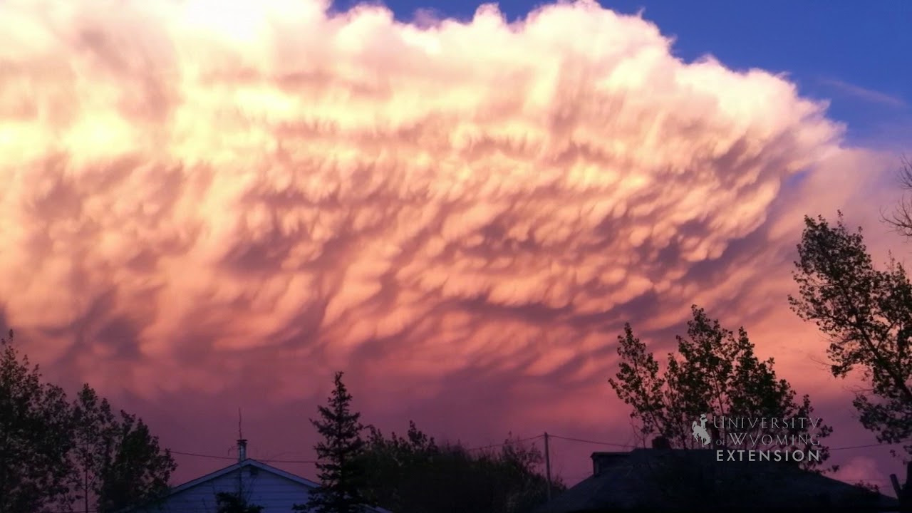 Cumulus Clouds