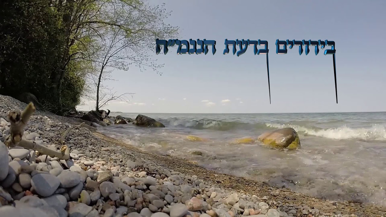 כולם צועקים 