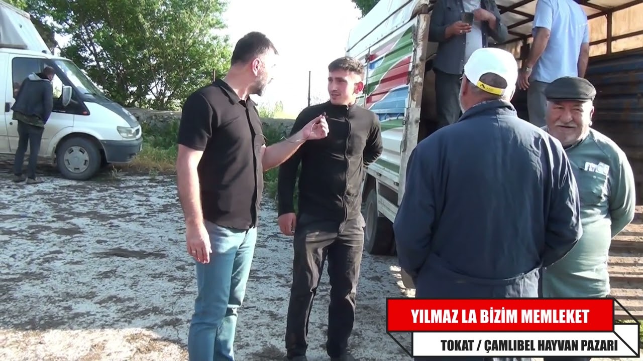 KURBANLIK FİYATLARI - HAYVAN PAZARINDA BİTMEYEN SATIŞLAR - KURBAN PAZARLIĞI - TOKAT ÇAMLIBEL