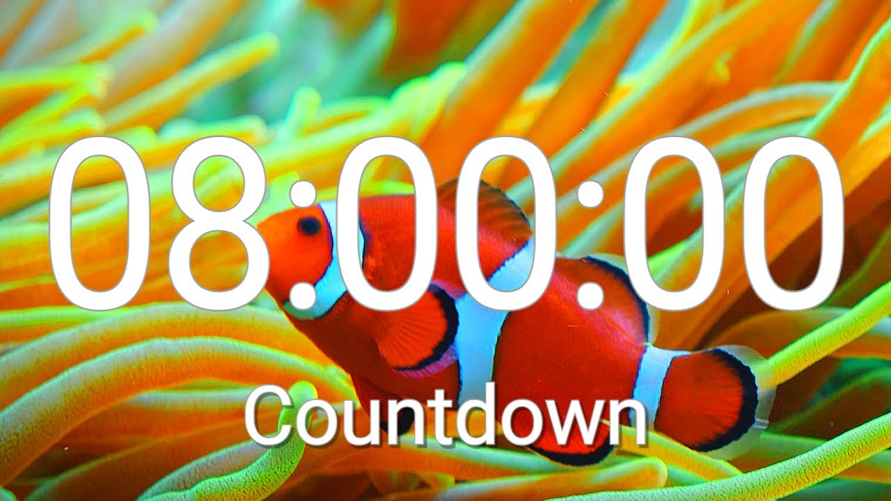 8 Hours Timer with Alarm