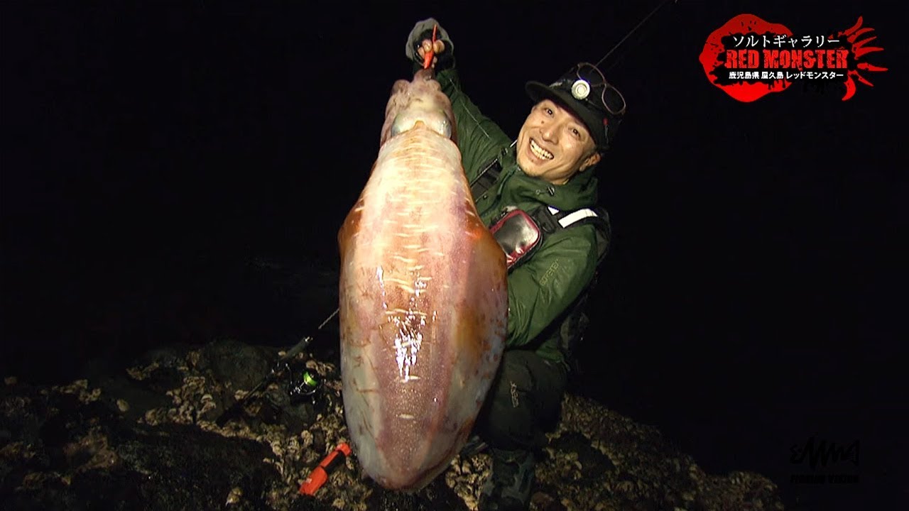 鹿児島県屋久島 エギング レッドモンスター