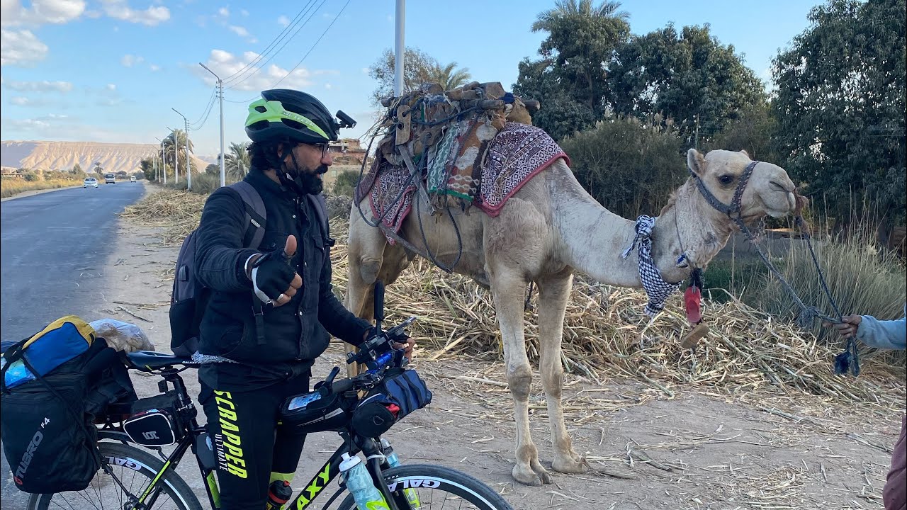 بالعجله من بسيون غربيه الي اكبر سوق جمال بشلاتين