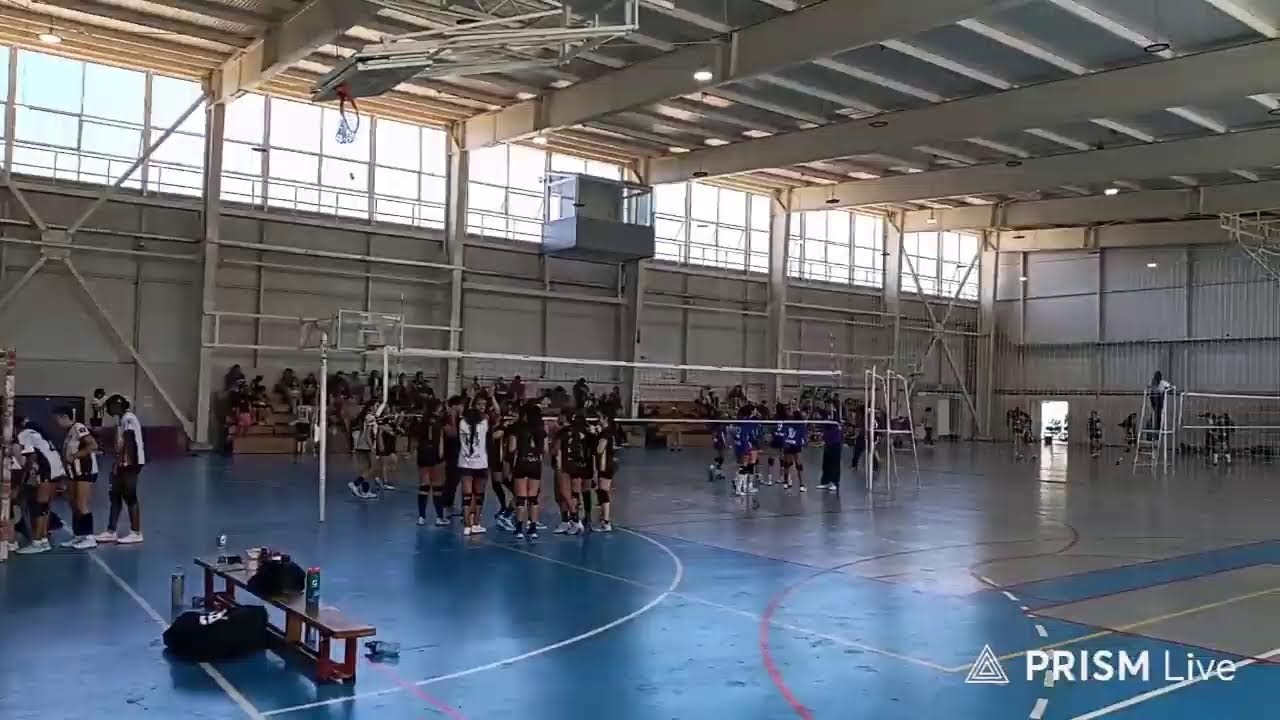prueba