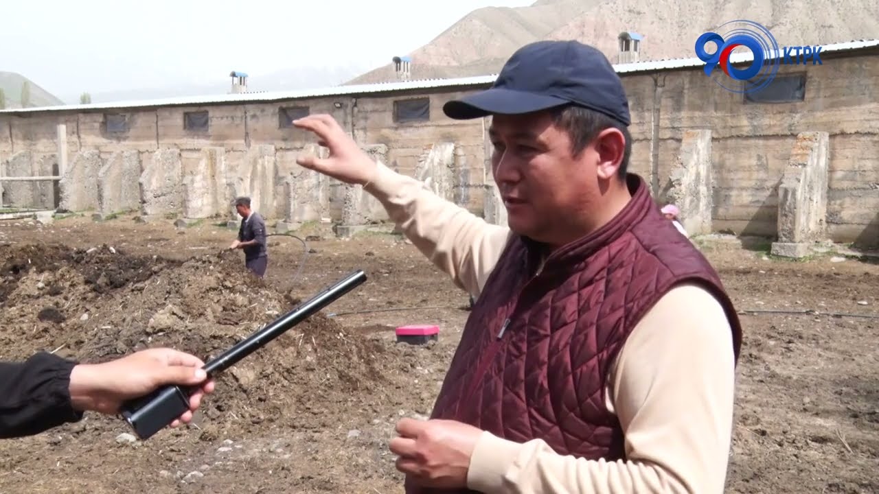 Нарында сөөлжан багып, жер семиртүүнүн жолун тапкан жеке ишкер | Өнүгүүгө карай
