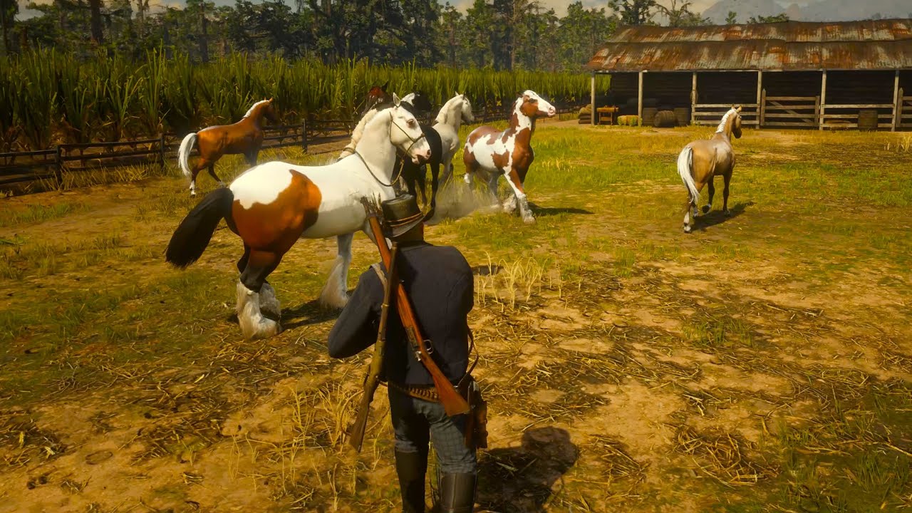 RDR 2 | Arthur Morgan's Epic Taming Adventure with Gypsy Cob Horses at  Saint Denis