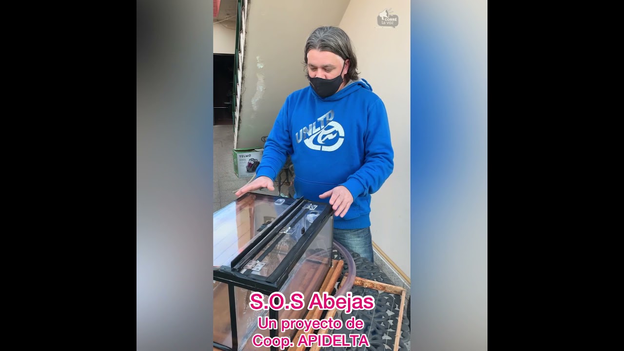 S.O.S abejas: Un proyecto de Cooperativa APIDELTA