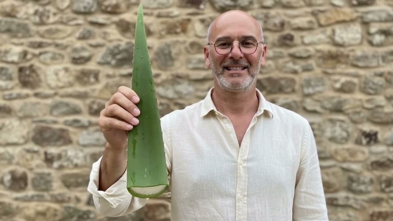 ALOE VERA: Die 
