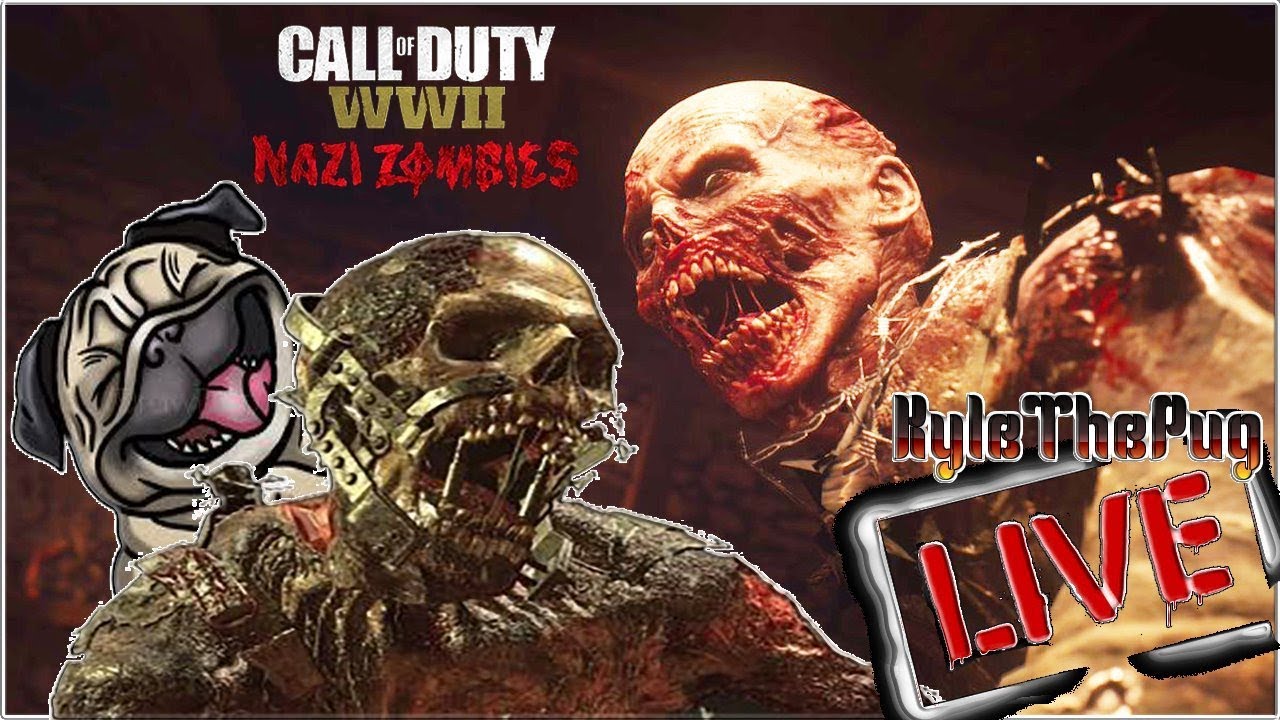 WORLD WAR 2 NAZi ZOMBIES EASTER EGG! @KyleThePug (ROAD TO 8K)
