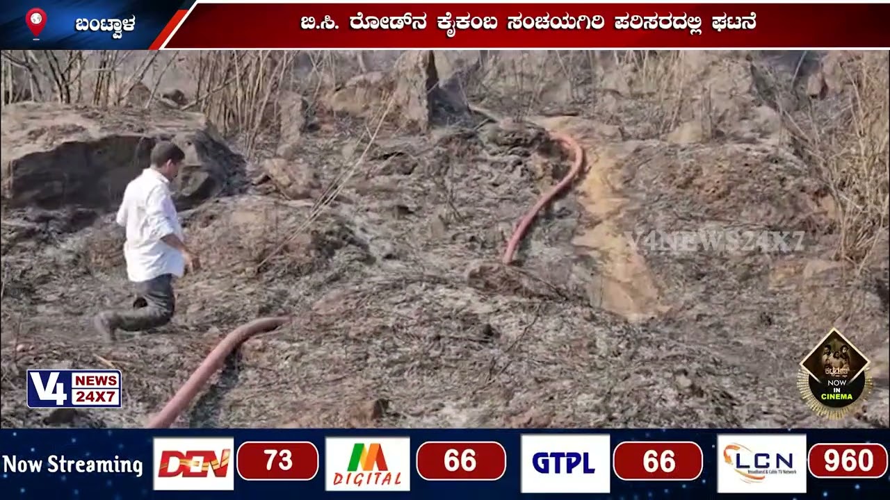 ಬೆಂಕಿಯ ಜ್ವಾಲೆಗೆ ಹೊತ್ತಿ ಉರಿದ ಮುಳಿ ಹುಲ್ಲಿನ ರಾಶಿ;ಬಿ.ಸಿ. ರೋಡ್‍ನ ಕೈಕಂಬ ಸಂಚಯಗಿರಿ ಪರಿಸರದಲ್ಲಿ ಘಟನೆ