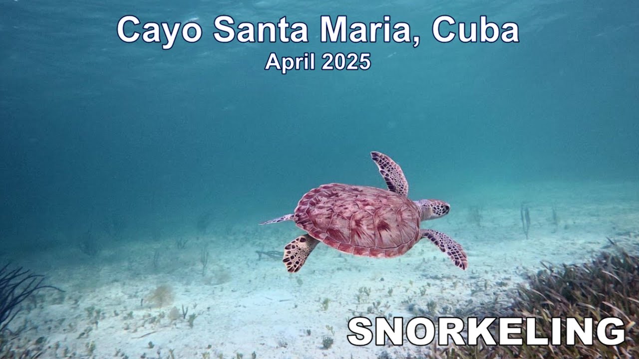 Snorkeling in Cayo Santa Maria, Cuba April 2025