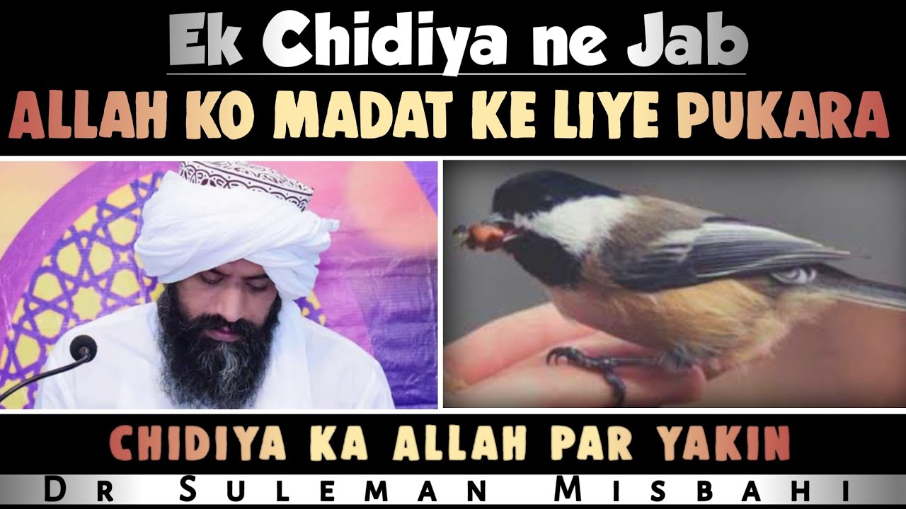 Ek Chidiya ka Allah par yakin | Dr Suleman Misbahi | Takrir | Pakistani Taqreer